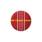 Idle Cricket Career