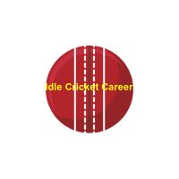Idle Cricket Career