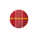 Idle Cricket Career