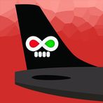 Airport Lapse: выбор действий