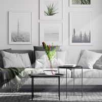 Design & Rent: Home Decor