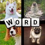 4 Photo 1 Word
