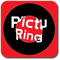 Pictu-Ring The Circle Puzzle
