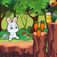 Bunny Carrot Adventure
