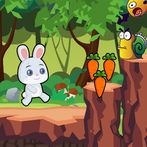 Bunny Carrot Adventure