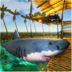 Survival Ocean : Survivor Pira