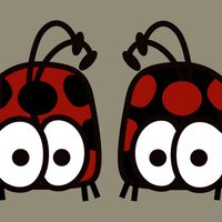 reverse ladybug