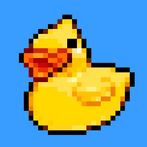 Duck Rescue