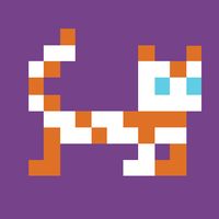 Gravity Cat Runner 2d