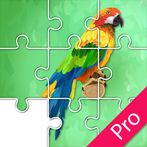 Jigsaw Birds Collection Puzzle