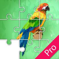 Jigsaw Birds Collection Puzzle