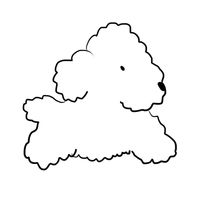 No meaning game - puzzle / Qui