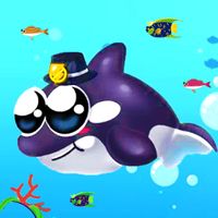 Shark Whale and Dolphin