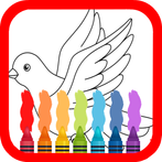 Birds Colouring Book