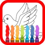Birds Colouring Book