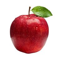 Apple Game - Elma Oyunu