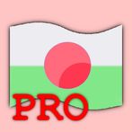 World Flags Challenge Pro
