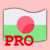 World Flags Challenge Pro