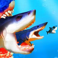 Shark Megalodon Game Puzzle