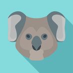 Koalas