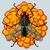 Felis Pixelis
