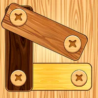Unscrew Puzzle Bolts and Nuts