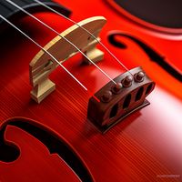 Master Mandolin Tuner