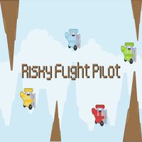 Risky Flight Pilot