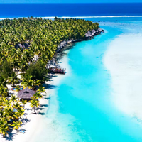 Pacific Island Survivor Living