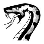 Snake+ Challenge