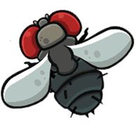 Fly Killer