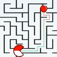 Maze & labyrinth