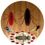 Bug Smash & Kill
