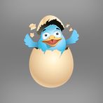 Duck Challenge