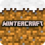 Winter Craft - Block Craft