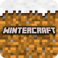 Winter Craft - Block Craft