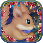 Elegant Squirrels Escape