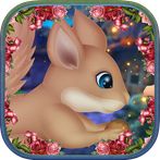 Elegant Squirrels Escape