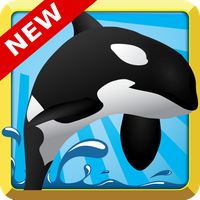 Orca Feast - New!