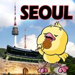 Hopping bird in Seoul