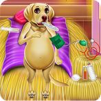 Labrador Quadruplets Caring