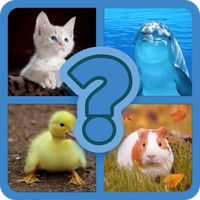 QUIZINATOR GW ANIMALS