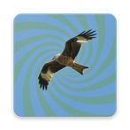 Find The Thermal Core Trainer 