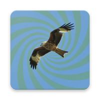 Find The Thermal Core Trainer 