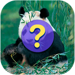 Guess the name of the animals