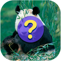 Guess the name of the animals