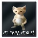 Pana miguel el juego