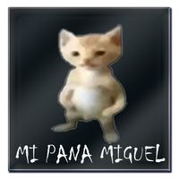 Pana miguel el juego