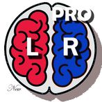Left vs Right Brain Exercise G