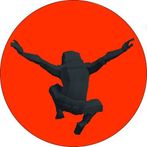 Ninja Bashiri - Endless Runner